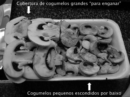 cogumelos1.jpg