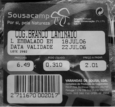 cogumelos2.jpg